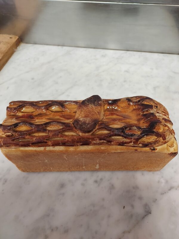 Pate.croute.pintadeau.morilles.