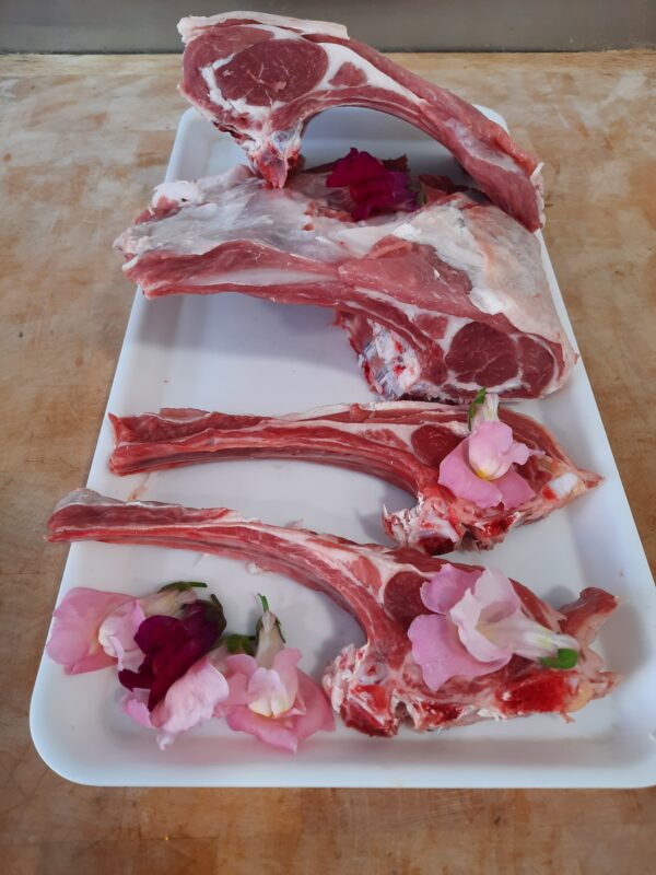 boucherie charcuterie traiteur recarte